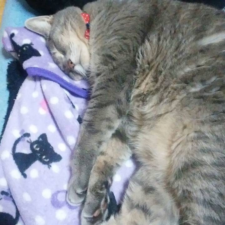 C039e2b2 f09b 45d0 be9c 876116fd4c7b