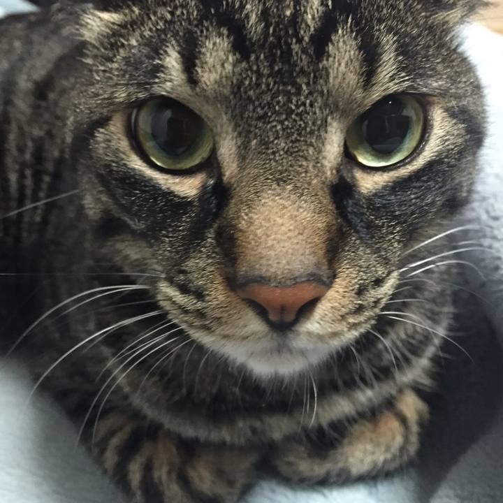 C03a6006 317c 4c61 ab23 91bcaab0a69d