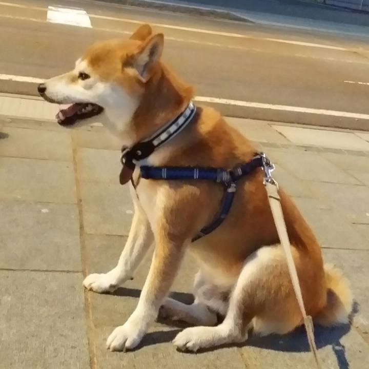 C03abb40 ba2b 4d7d 80e6 1d3343a2650c