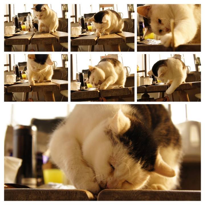 C03adec2 d9dd 46b0 abdc c91b0b499c20