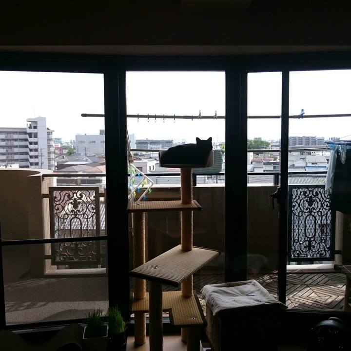 C03b4628 700e 4d50 beb5 292fb287a55d