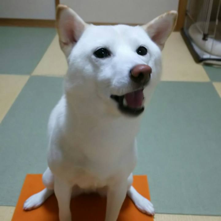 C03be6a3 2d80 4fa6 b030 7b1340958eb3