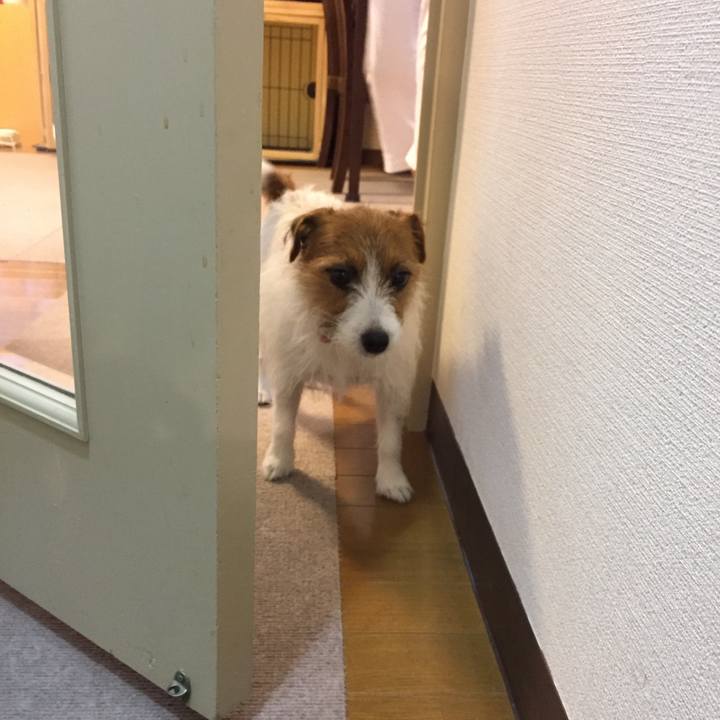 C03be874 fdd4 4f8e 9546 2667b6882bb9