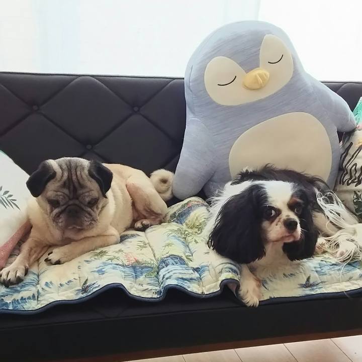 C03bfa86 3ca4 4741 a819 469ddd48c425