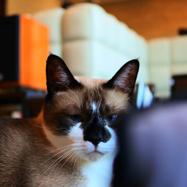 C03c47cb 04c2 451b 8d25 c8fe5e171d54