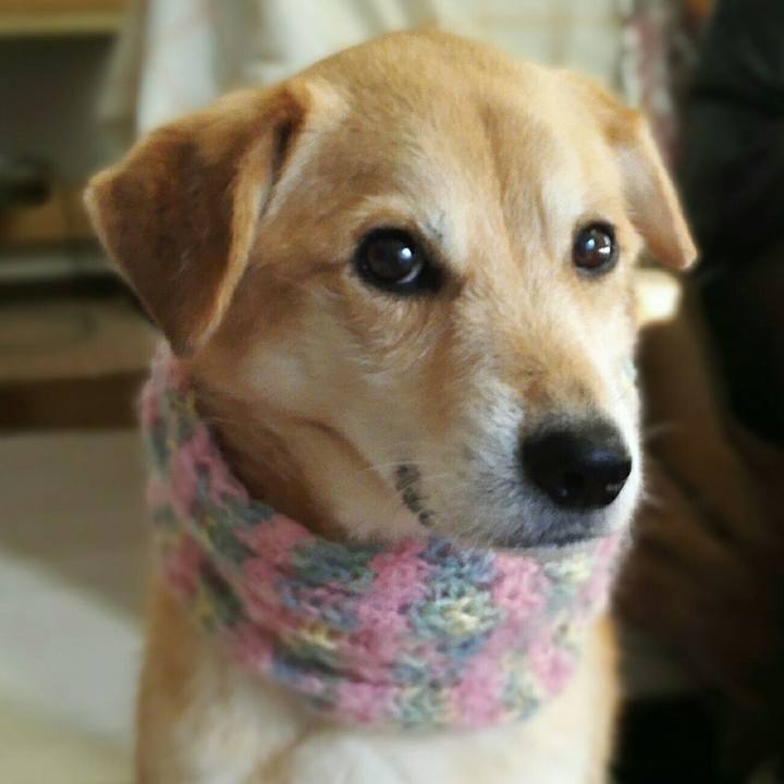 C03cc33a 0f05 4482 ae79 82ae2dfb305a