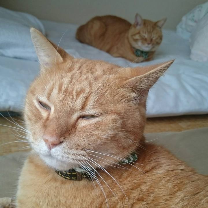 C03d0663 2e15 42e0 8682 9eaebb405ef3