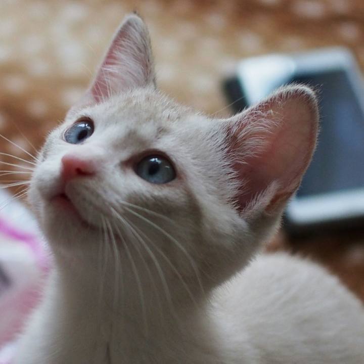 C03d173b a0a9 4c08 a580 3f5d9c058ce6