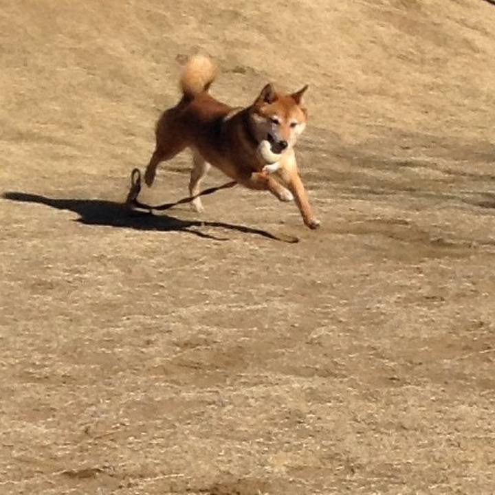 C03d20b3 39c4 49e9 9641 2e1f6d22c387