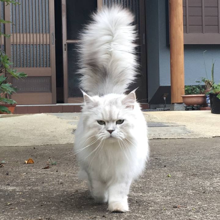 C03da51a 0602 4224 b4ee 474550794f4d