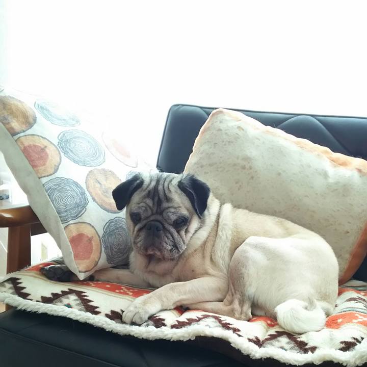 C03e1764 3163 4cbd a33c 452113d892db