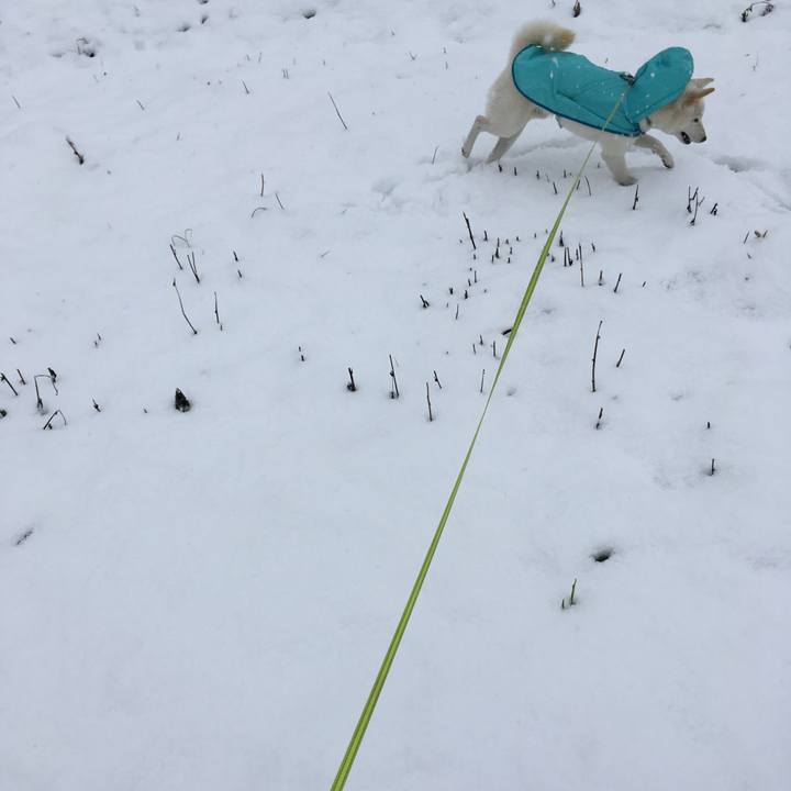 C03e6e82 6af7 4d24 b0de 95342cfee3a0