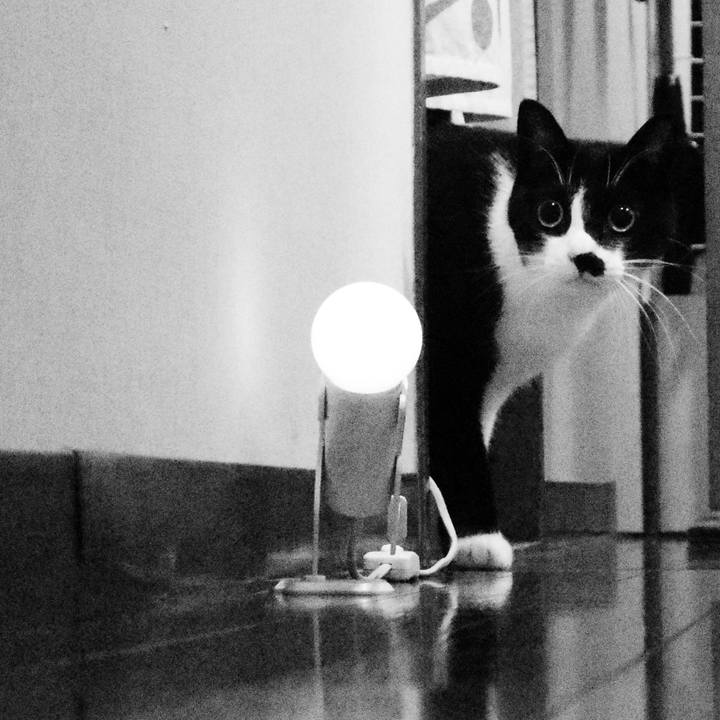 C03e8e3d 48f9 4bec ada2 99b4fdc5f94b