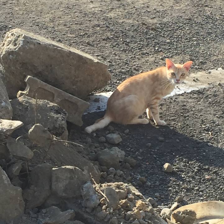 C03e8f77 a889 4d23 9faa a329359a9e24