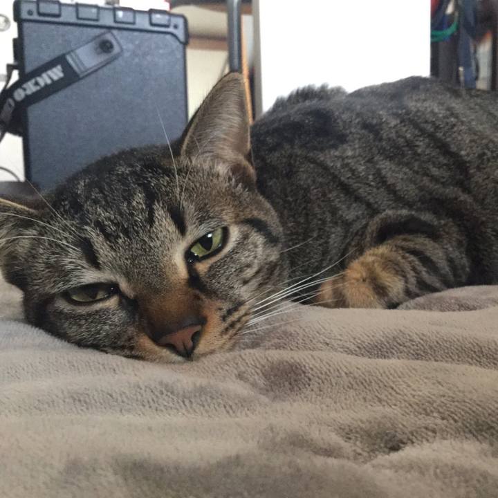 C03ed80b 835d 4e22 aba9 a9d6e3f39354