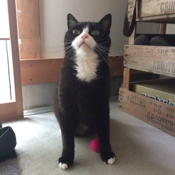 C03f263c 27fc 4670 bbe2 eb33512a3212