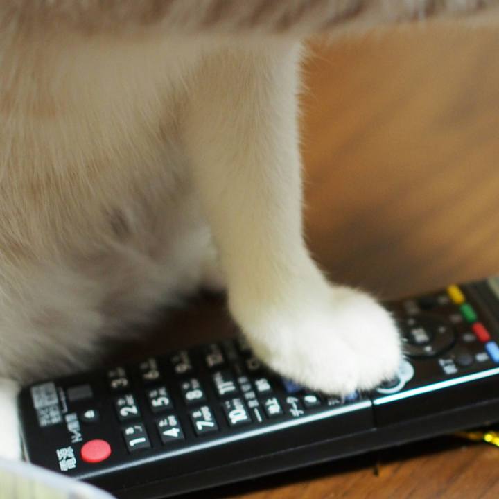 C03f4250 2c40 43e1 a261 029b5fc57613