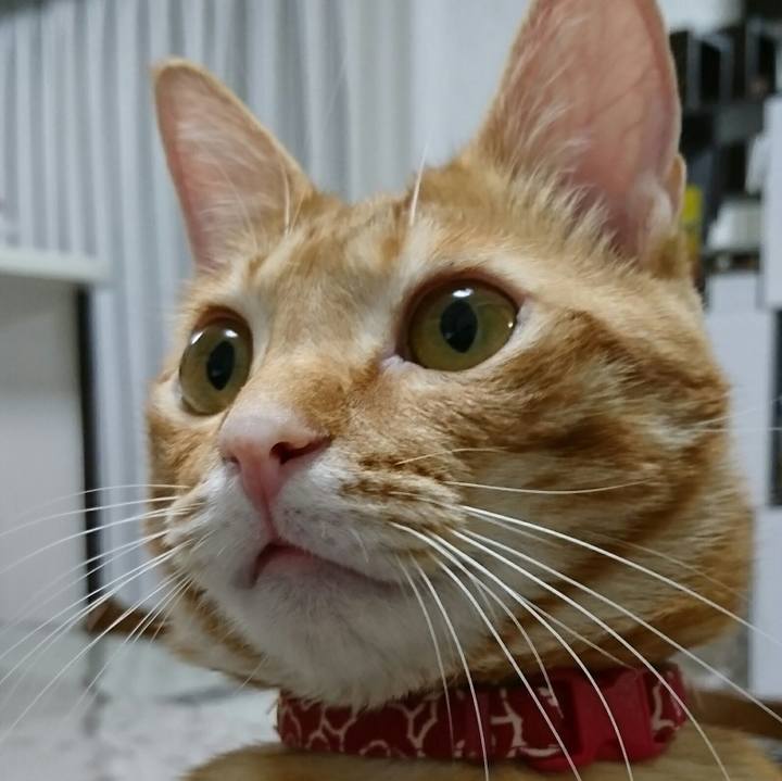 C03f6256 8b6d 40d4 a39e 0063d498cff2