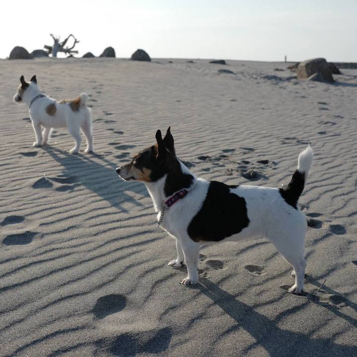 C0408ac7 bb91 4ac0 873b d4e26a60d1fb