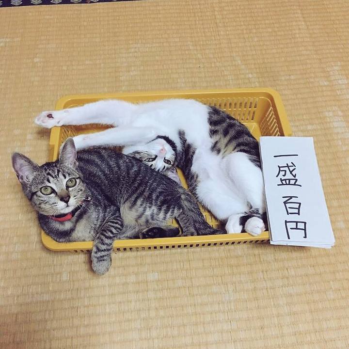 C040d031 3f3d 4758 915e 63d19957c0ed