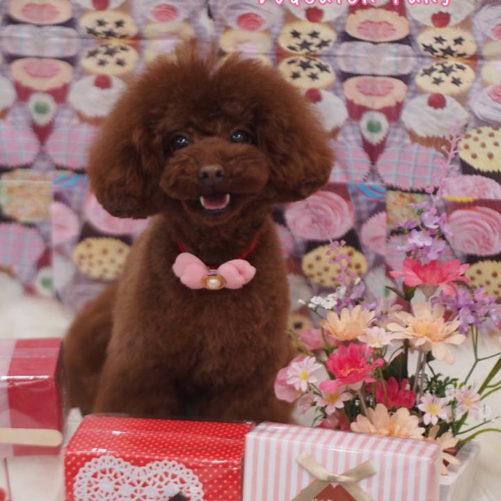 C0416bf6 7649 496b 8f1d 19b20ab373b6