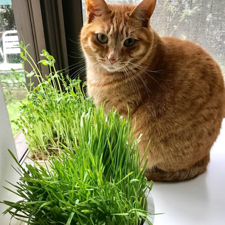 C04205f6 e223 49e4 ba88 09f89b8e630c