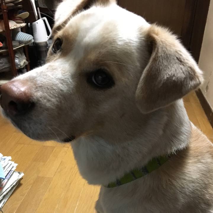 C042b4a5 ee4b 4453 bea7 77ae7ddec50a