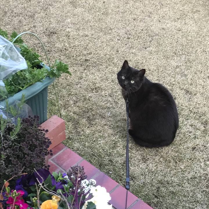 C042c8f6 dd65 4a1c b2c3 d9040c24ad45