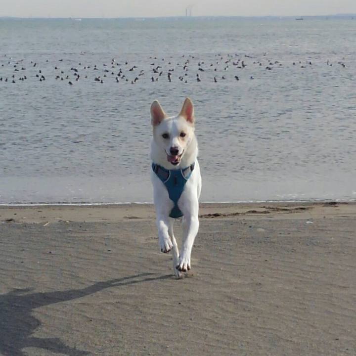 C042d1b7 286a 484b b2be f009de4cc048