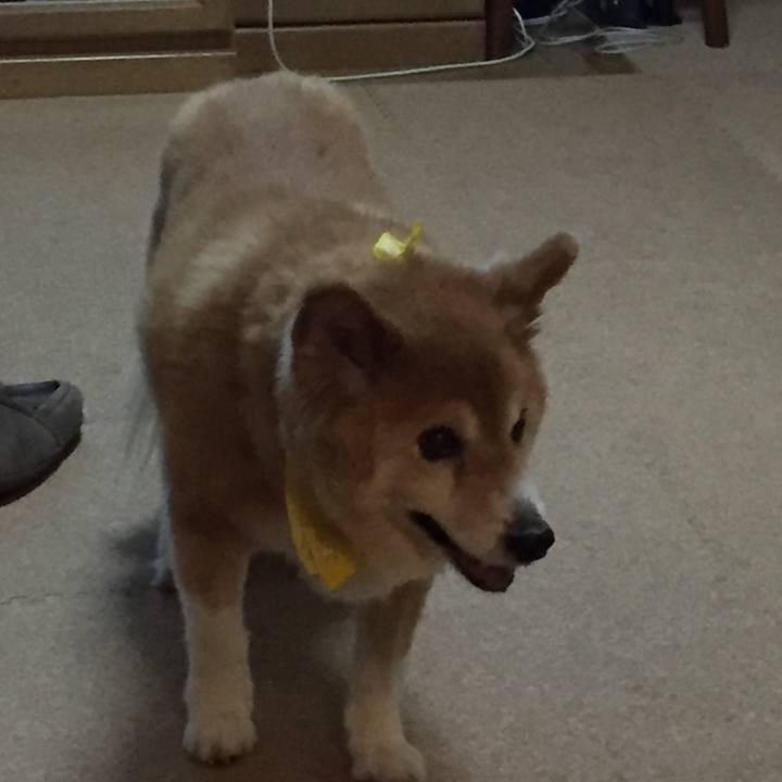 C0433bce f2b7 487b b7b9 395fd8fcce40