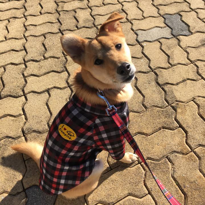 C0439d09 e06a 4b0e b674 cb60536be762