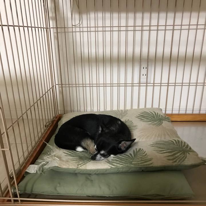 C0445ada 60f4 4192 845f c46b4767ab77