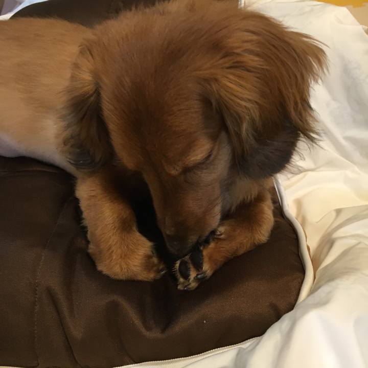 C0448219 27f4 4646 a6a7 f529e127722f