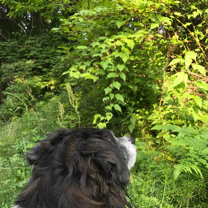 C04499ba b9b5 4b44 88ec c38bb8943ae4