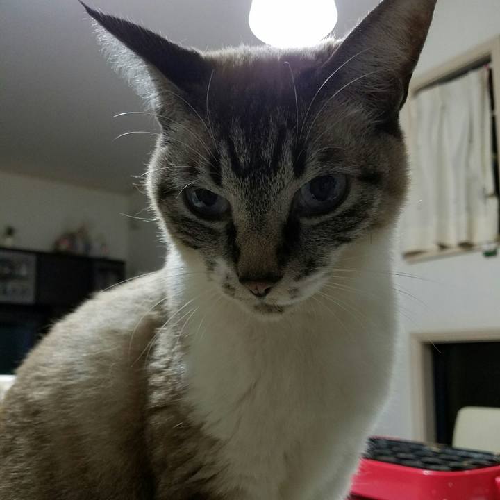 C0452c83 a7f1 48ec ae44 4c12a9986098