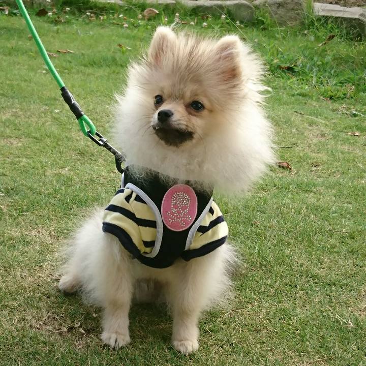 C04569e2 628e 498a 8ad9 ffd01d535720