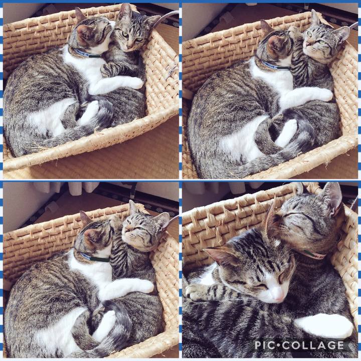 C04616e0 d7b5 4916 8056 6c4d31913dc0