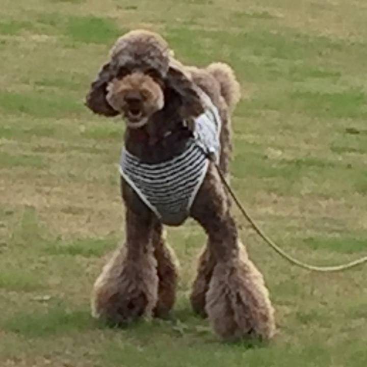 C04670bd 29fe 4834 b331 6423e7bd180d