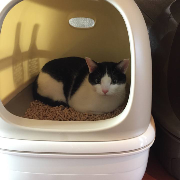 C0467aeb c3f4 4afb 8b06 b307b222b67a