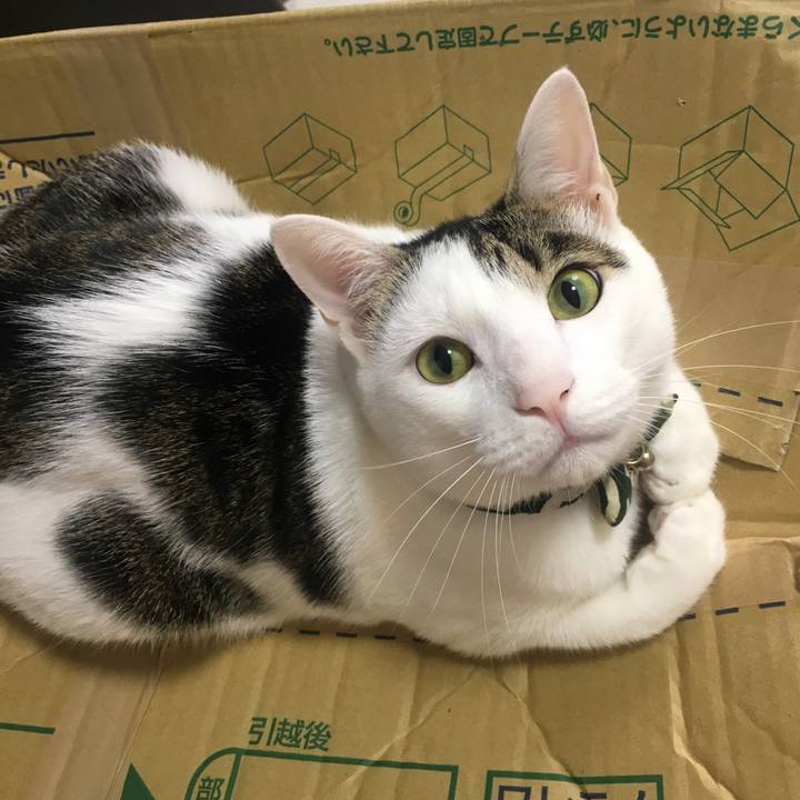 C047368d 1cdd 457b 9949 930b325cc328