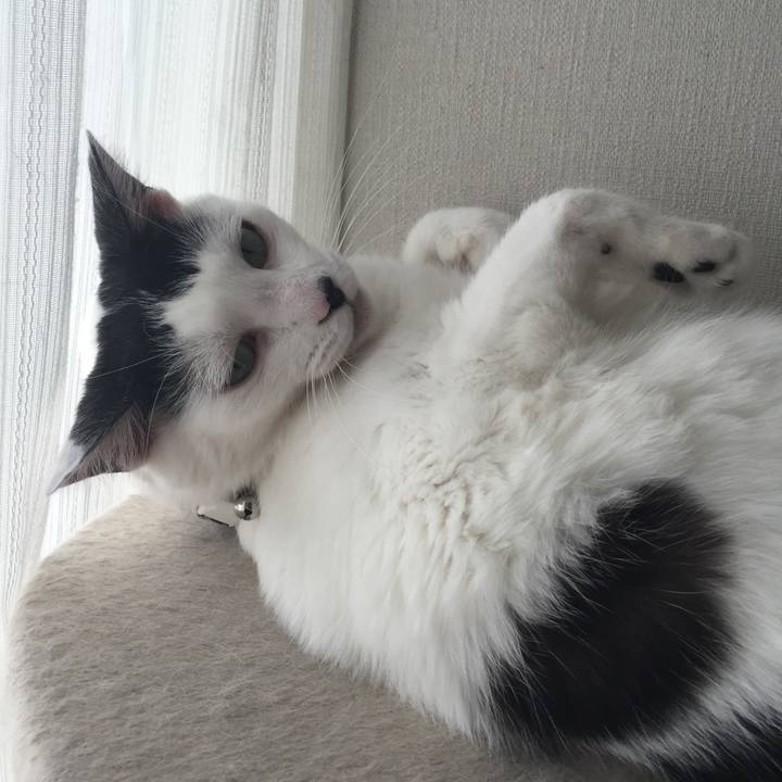 C047380f ffd7 4698 adce 119b531e6102