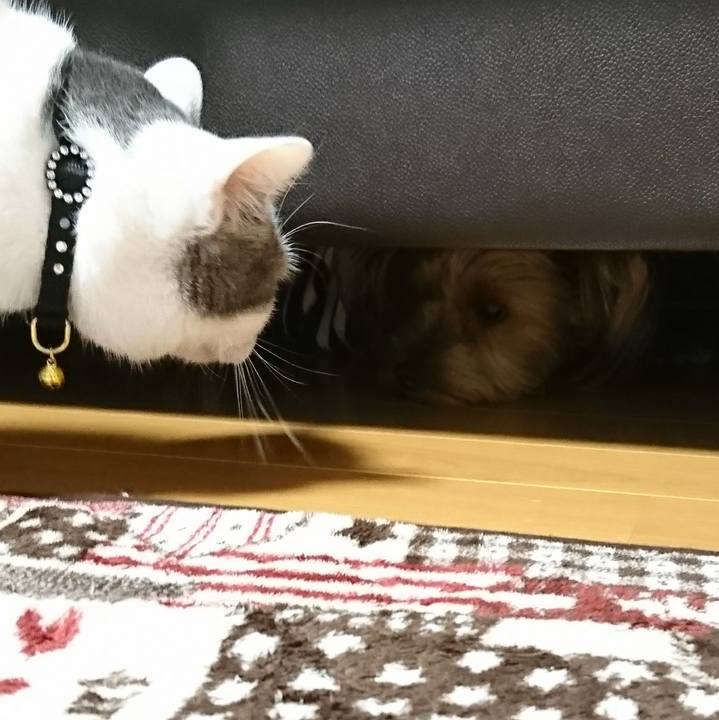 C0480694 3b42 4889 a1d5 227b830b915d