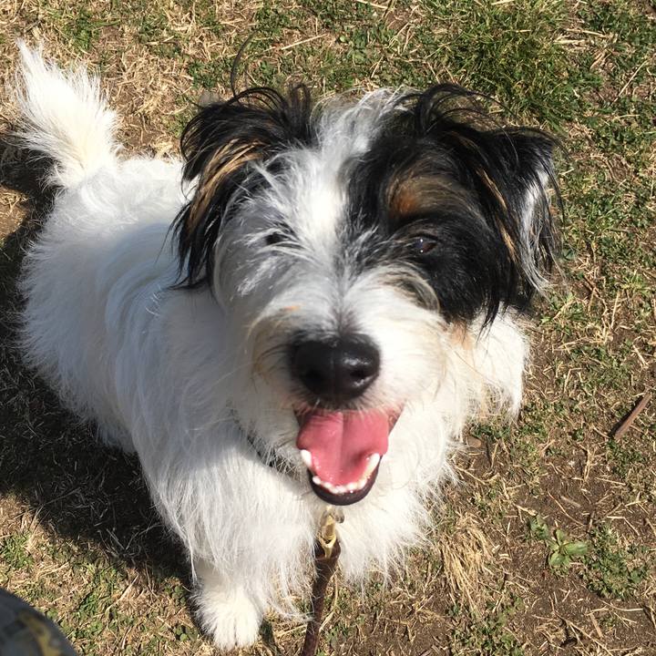 C04865b6 507d 4f9c b7fb 0d598310d5fa