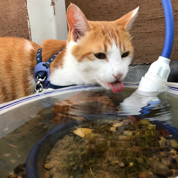 C0488841 09a1 4cf9 9727 ad171d17e10e