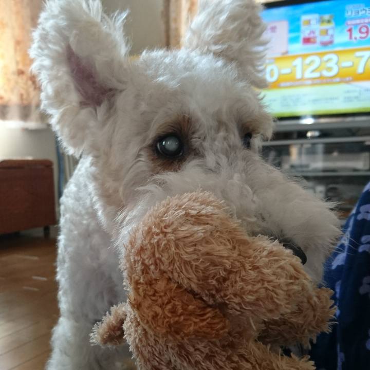 C0495763 1a98 4727 9958 7ab1d42ed602