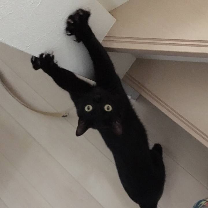 C049b6db b05e 4c78 b950 4031e6615815