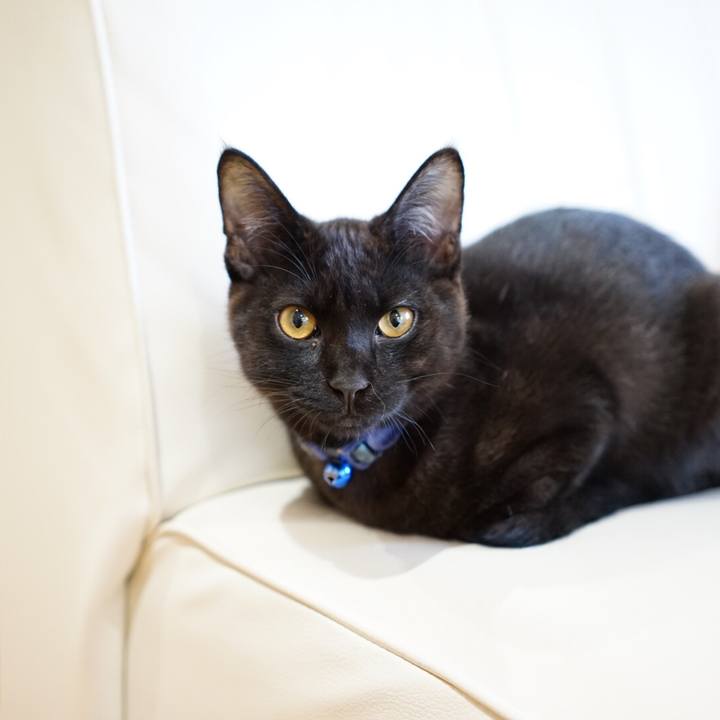 C049f4dc 0ebb 4f9a b511 6ec8899706ae