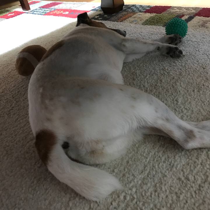 C04a46fa 5851 45d6 bddd aabdd27f3fea