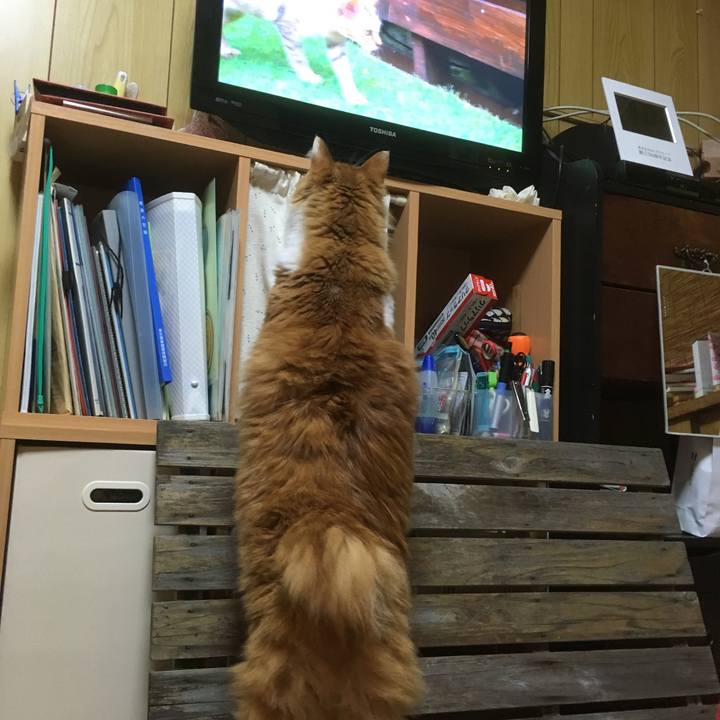 C04a5b75 056a 45cc ae07 640ea7586ce2