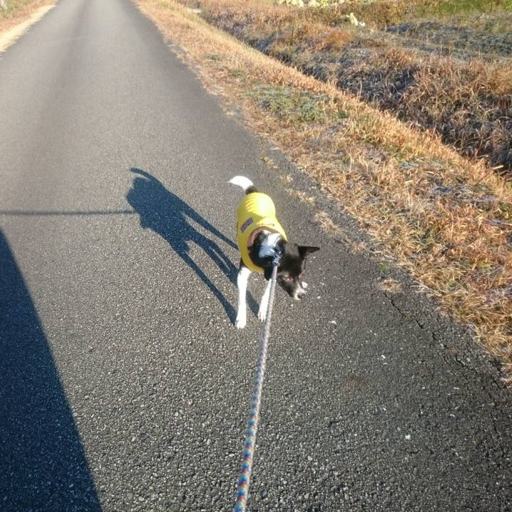 C04a6183 0501 49d9 97c2 8b489d827ced